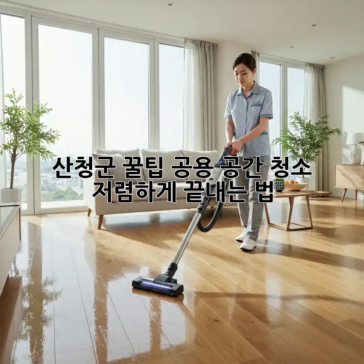 산청군 꿀팁🍯 공용 공간 청소, 저렴하게 끝내는 법!
